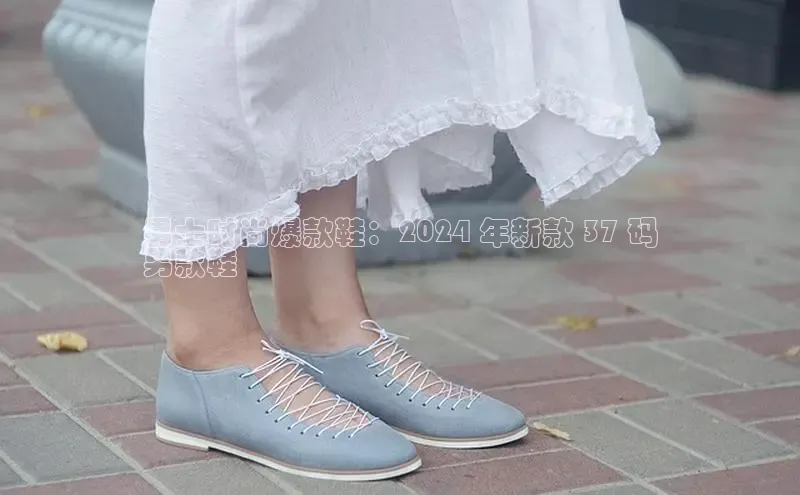 意昂体育官网小度商城男士时尚爆款鞋：2024 年新款 37 码
男款鞋