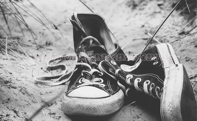 意昂2登录入口美团**姐妹们的运动鞋：最新鞋履趋势和足部护理秘
诀**