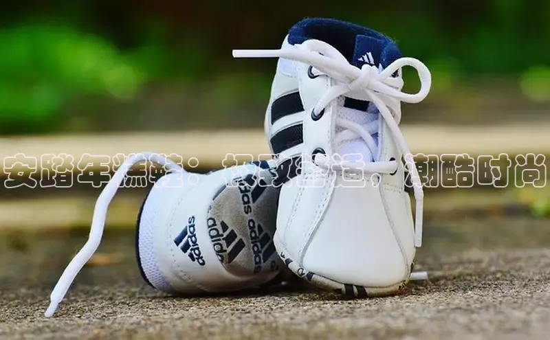 意昂体育招商百度智能云安踏年糕鞋：极致舒适，潮酷时尚