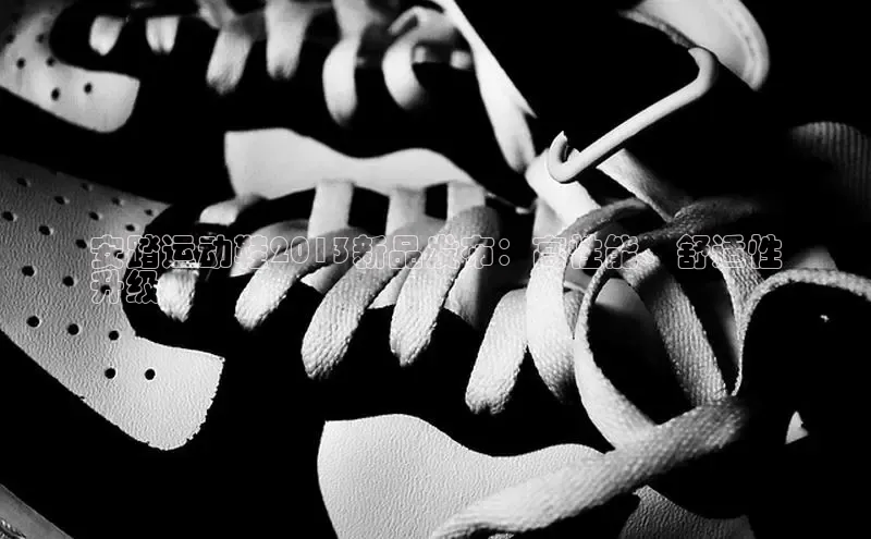 意昂体育登录慧博云通安踏运动鞋2013新品发布：高性能、舒适性
升级