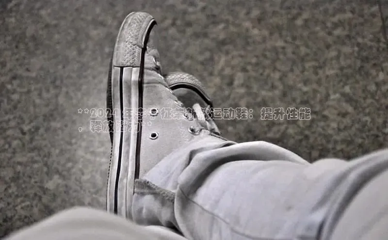 意昂体育招商百度智能云**2024 年李宁征荣新款运动鞋：提升性能
，释放潜力**