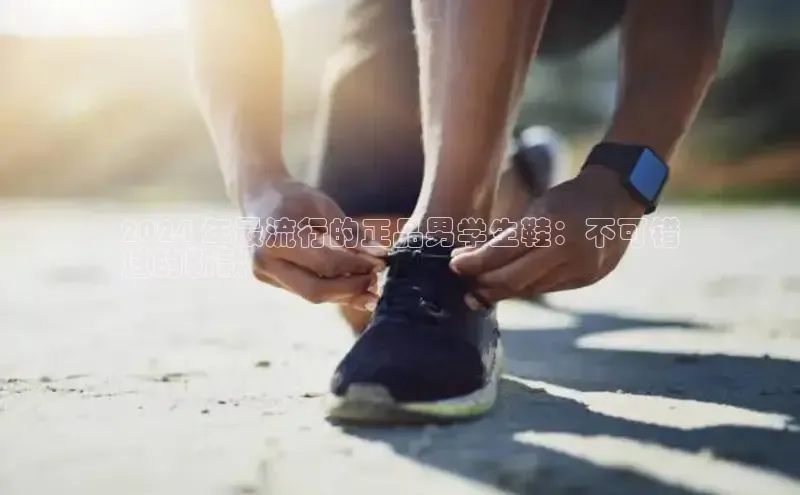 意昂2登录入口美团2024 年最流行的正品男学生鞋：不可错
过的新款