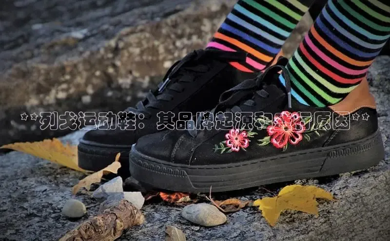 意昂注册官网百度手机助手**列戈运动鞋：其品牌起源和盛行原因**