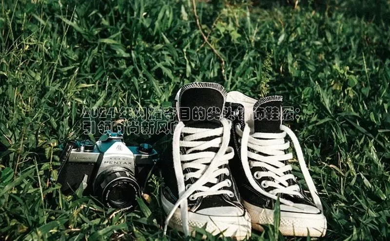意昂官网注册天键股份2024 年闪耀夺目的尖头钻饰鞋履：
引领时尚新风向
