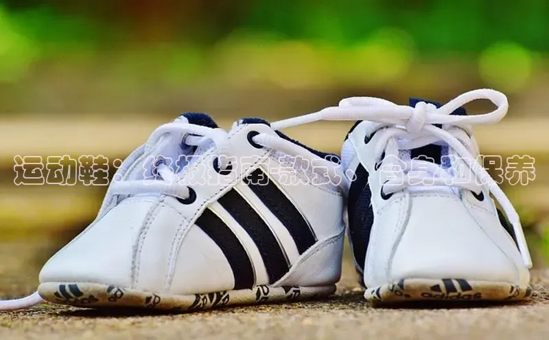 意昂意昂体育入口百度学术运动鞋：终极指南-款式、合身和保养