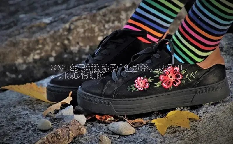 意昂体育官网登录百度健康2024 年最新潮流男士运动鞋，尺码 41
，引领时尚潮流