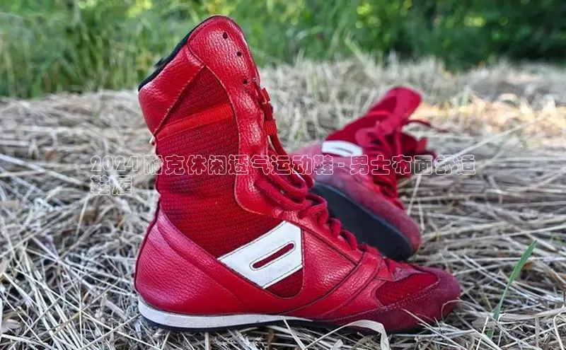 意昂体育口阿里尔公司2024 耐克休闲透气运动鞋 - 男士布面舒适
鞋履