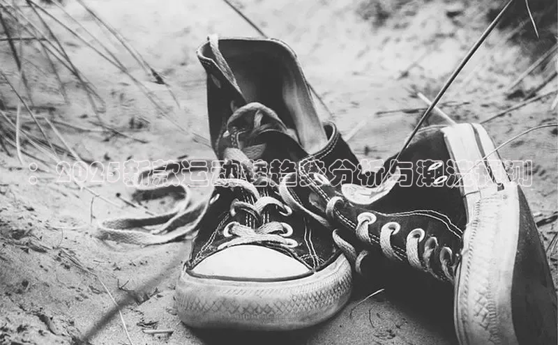 意昂2登录入口美团：2025新款运动鞋趋势分析与潮流预测