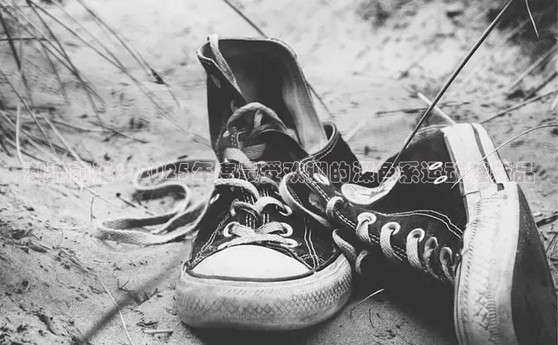 意昂体育注册ARGA公司潮流前沿：2025年度最受欢迎的深色系运动鞋新品