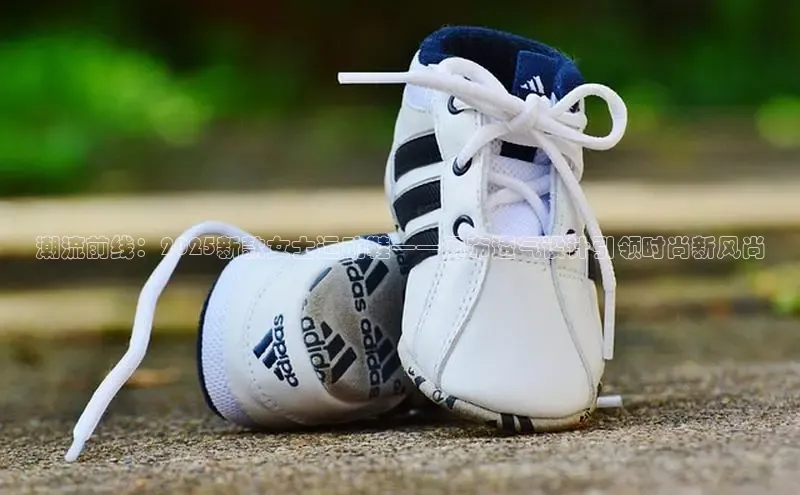 潮流前线：2025新款女士运动鞋——网布透气设计引领时尚新风尚